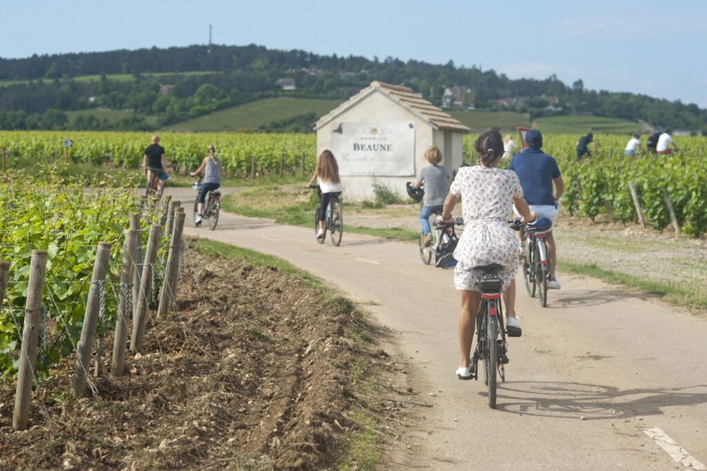 Remorque vélo pour enfant – Bourgogne Evasion